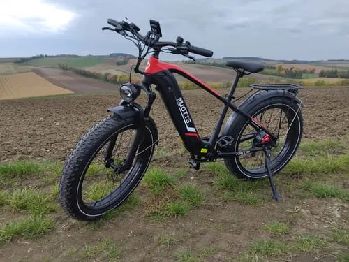 DUOTTS F26Lite E-Bike 26 Zoll Silber-Weiß