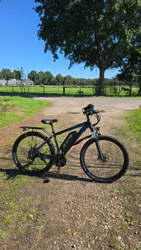 DUOTTS C29 Pro E-Bike 750W 29 Zoll Single-Akku