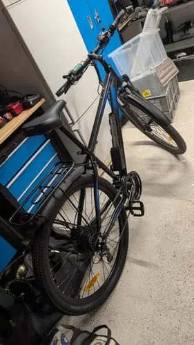DUOTTS C29 Pro E-Bike 750W 29 Zoll Single-Akku