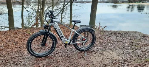 DUOTTS F26Lite E-Bike 26 Zoll Silber-Weiß