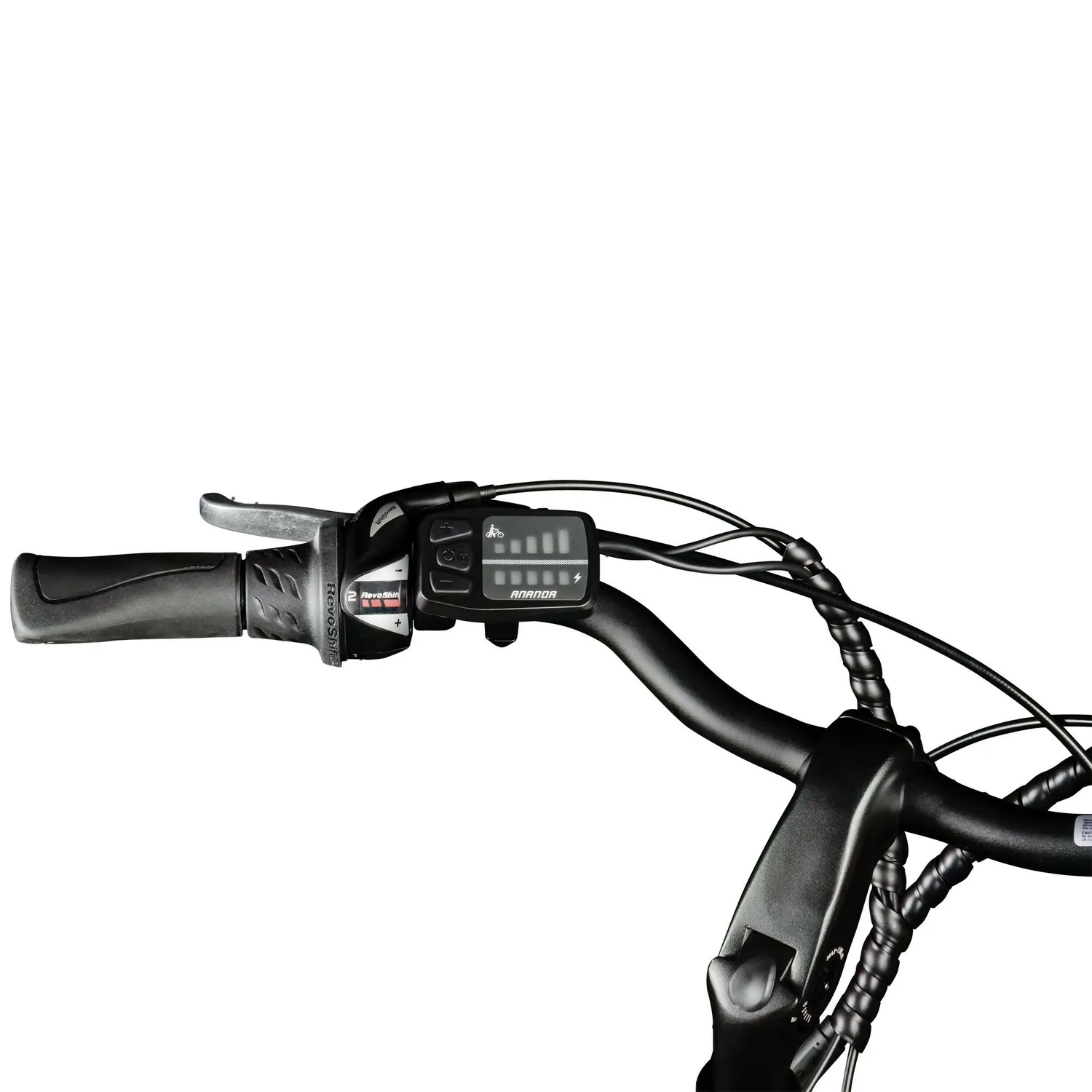 Ananda D15 LED Display 2021 E-Bike mit Logo