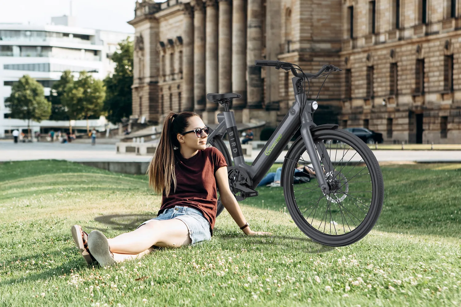 SachsenRad xBird C6F Connect E-Citybike 26 Zoll dunkelgrau