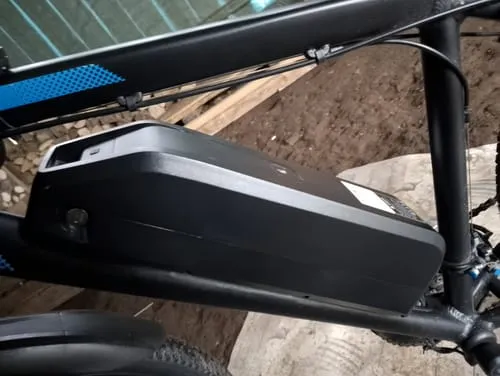 DUOTTS C29 E-Bike Akku 48V 15Ah Ersatz