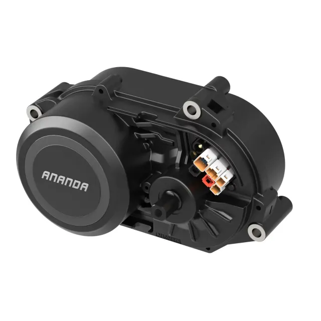 Ananda M100 Mittelmotor 36V 250W 25km/h 29 Zoll CAN