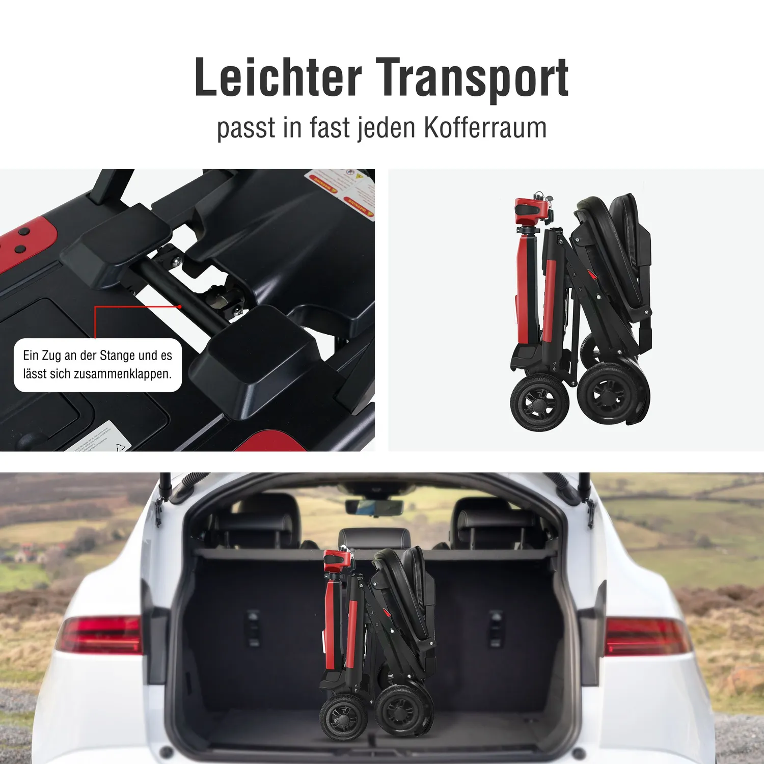 SachsenRad BestAGE Kompakt Seniorenmobil faltbar 20 km