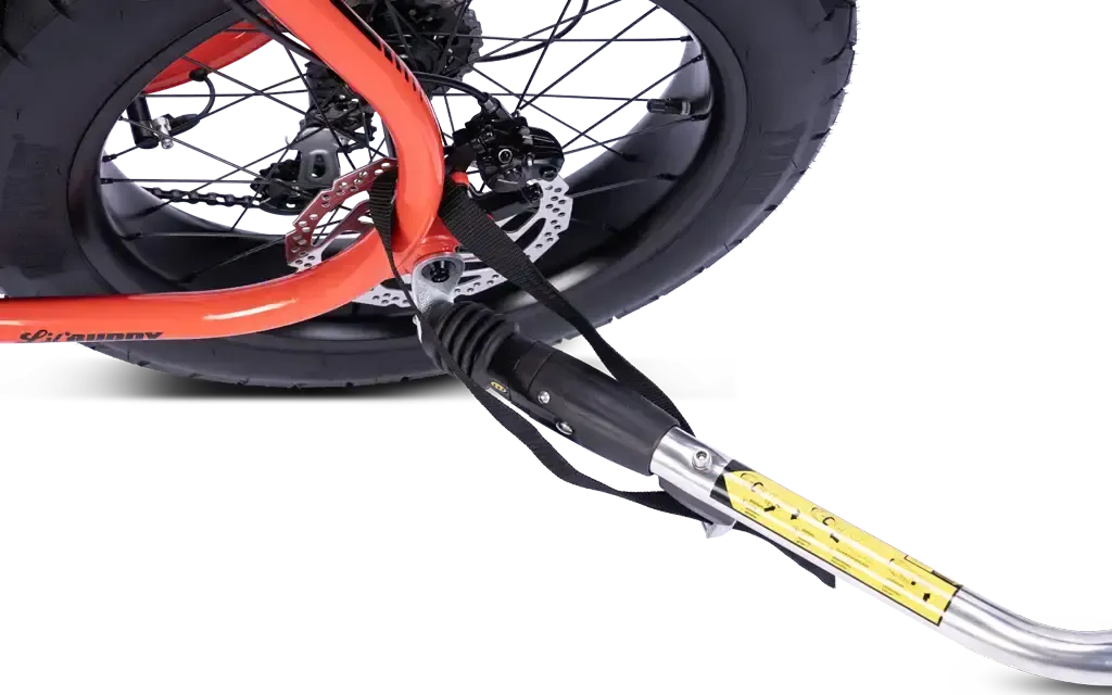 Ruff Cycles Biggie Premium Fahrradanhänger 20x4.0