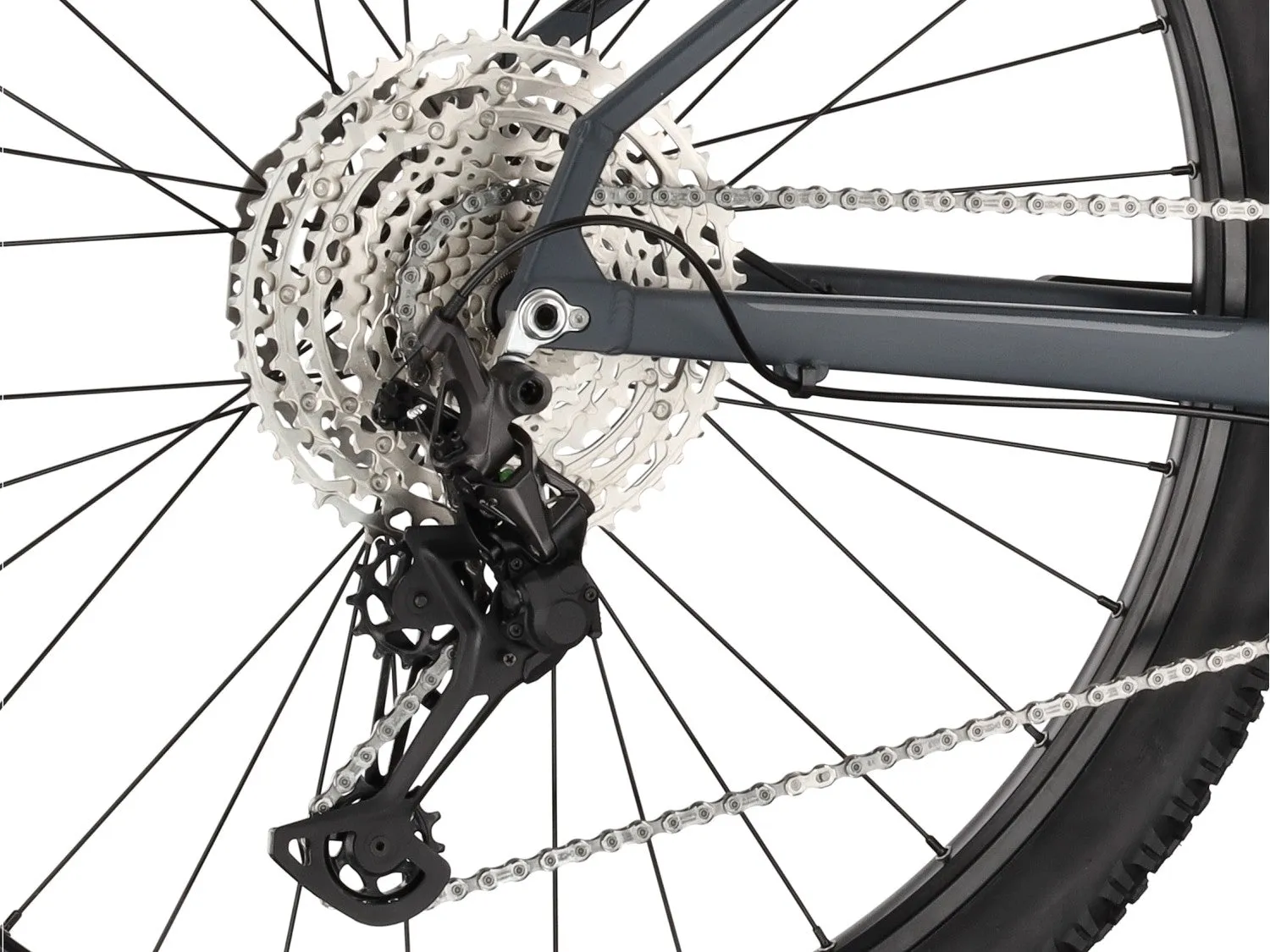 Carver Strict 160 Mountainbike Deep Anthracite XT