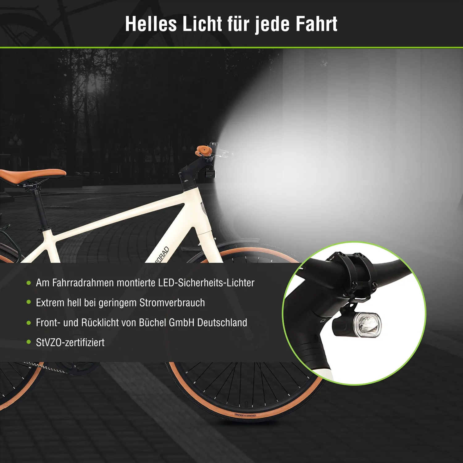 SachsenRad C3M Roma II E-Bike gebraucht Riemenantrieb
