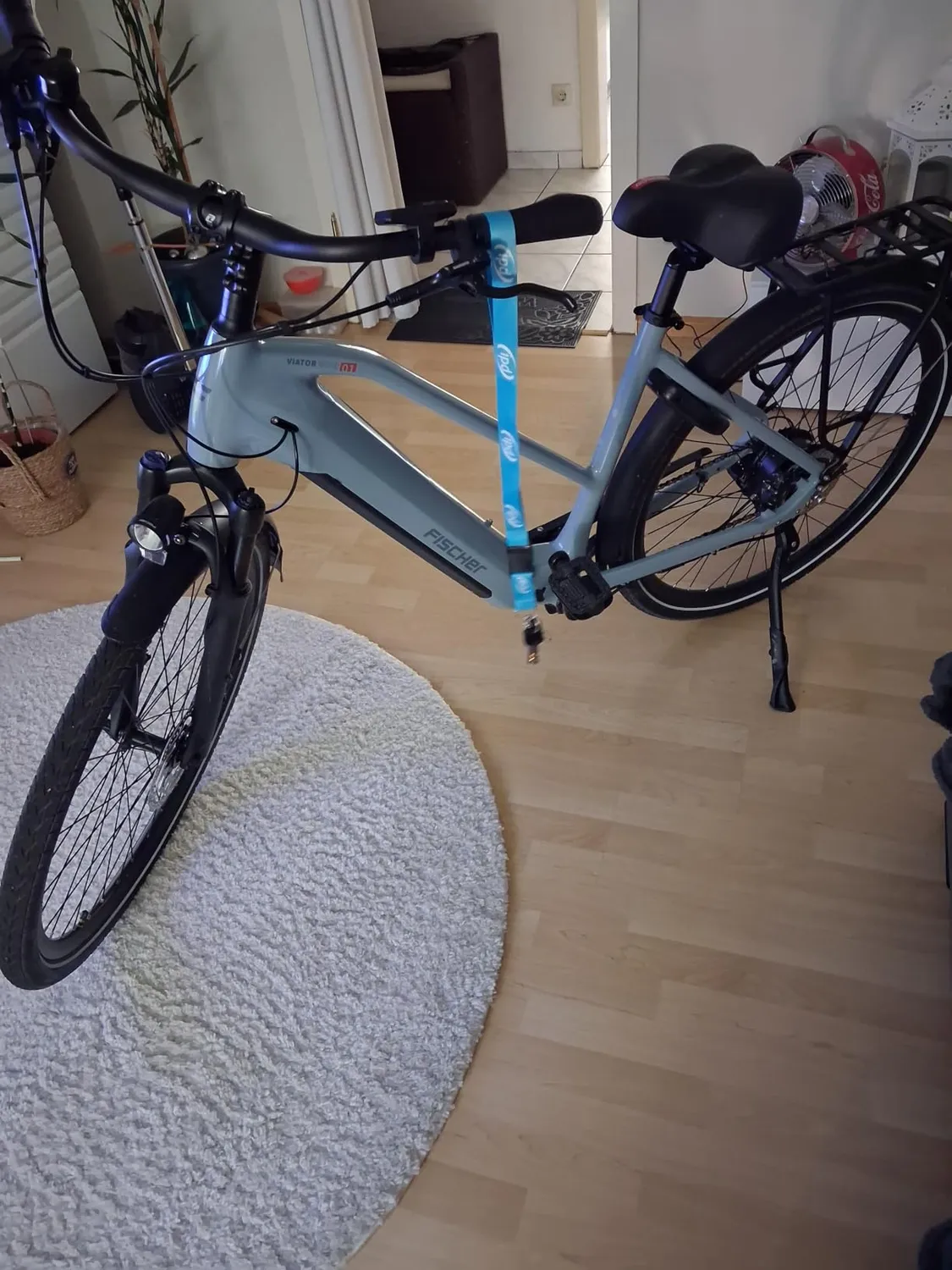 Fischer Viator Move 01 E-Bike 50Nm 125km