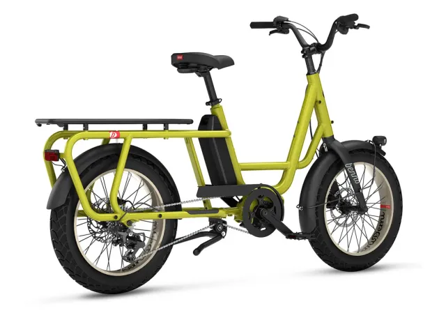 Benno RemiDemi XL 9D Evo 2 E-Bike Kompakt-Lastenrad