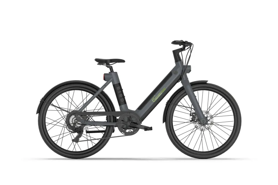 SachsenRad xBird C6F Connect E-Citybike 26 Zoll dunkelgrau