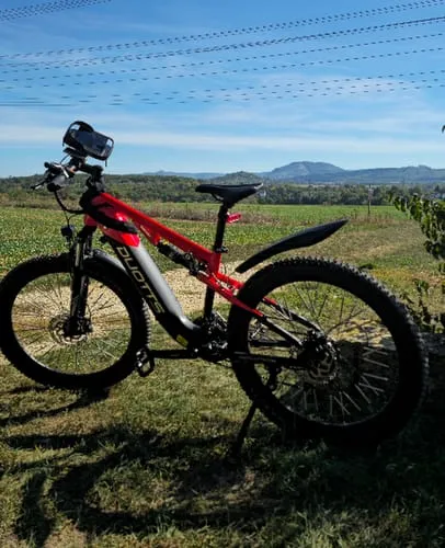 DUOTTS E29 E-Bike EU-Version Schwarz-Rot 250W