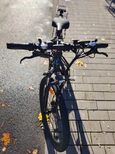 DUOTTS C29 Pro E-Bike 750W 29 Zoll Single-Akku