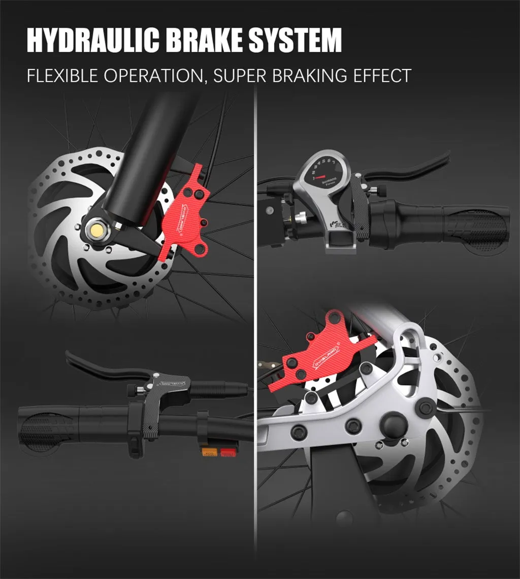 DUOTTS C29 Bremsbeläge Paar organisch für Hydraulikbremse