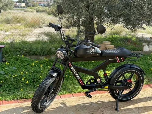 DUOTTS F20 E-Bike 20 Zoll Fatbike 250W