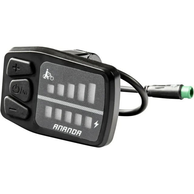 Ananda D15 LED Display 2021 E-Bike mit Logo