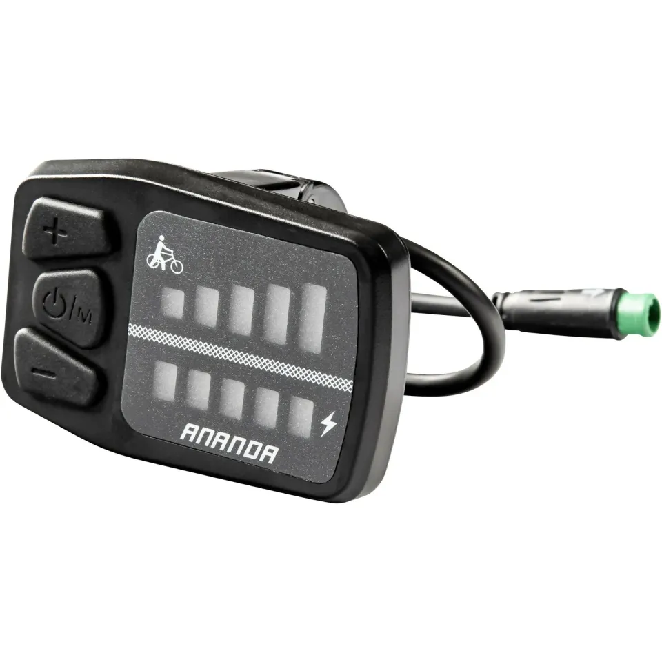 Ananda D15 LED Display 2021 E-Bike mit Logo