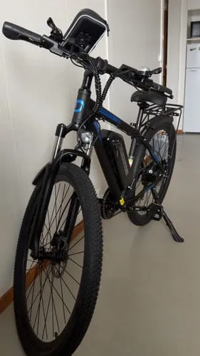 DUOTTS C29 Pro E-Bike 750W 29 Zoll Single-Akku