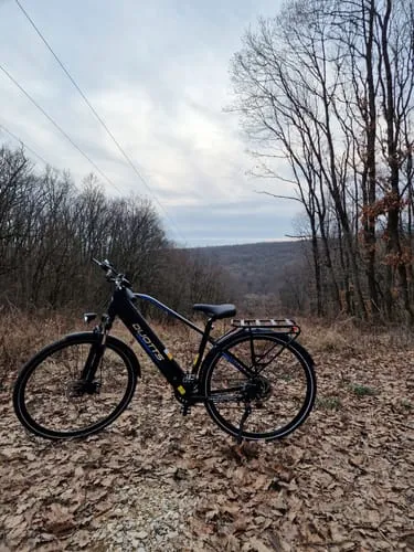 DUOTTS C29Lite E-Bike 26 Zoll Schwarz-Blau