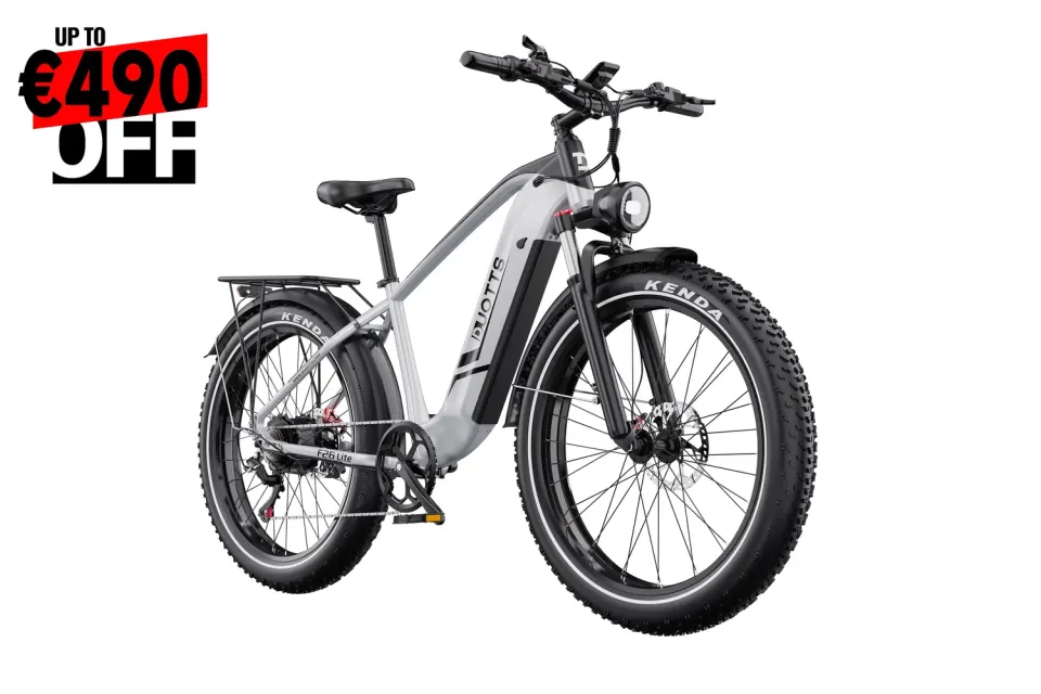 DUOTTS F26Lite E-Bike 26 Zoll Silber-Weiß