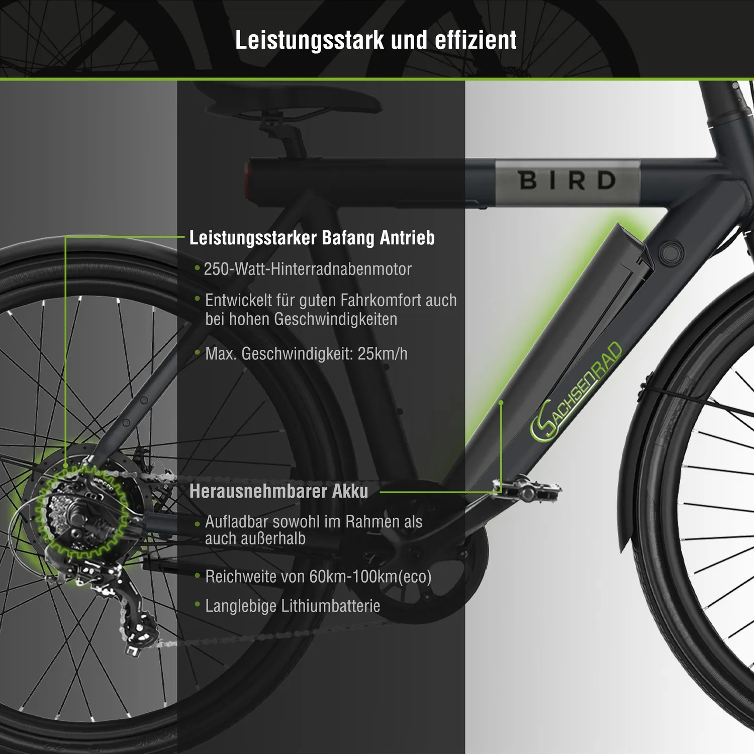 SachsenRad xBird Urban C6M Connect E-Citybike 28 Zoll schwarz