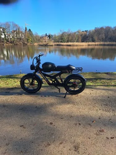 DUOTTS F20 E-Bike 20 Zoll Fatbike 250W