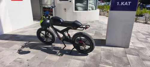 DUOTTS F20 E-Bike 20 Zoll Fatbike 250W