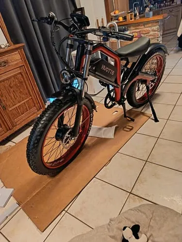 DUOTTS N26 E-Bike EU-Version Schwarz-Rot 250W