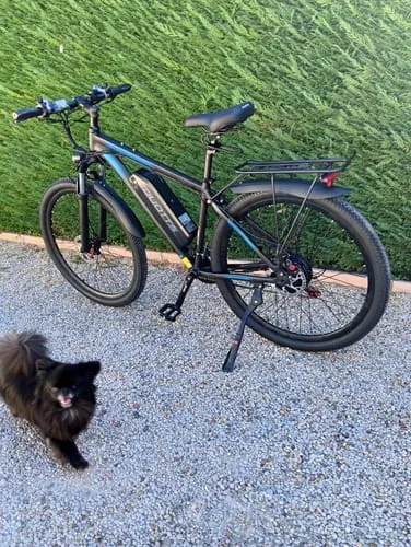 DUOTTS C29 Pro E-Bike 750W 29 Zoll Single-Akku