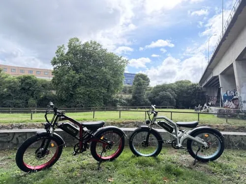 DUOTTS N26 E-Bike EU-Version Schwarz-Rot 250W