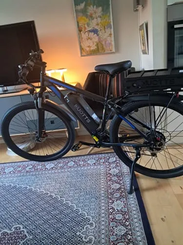 DUOTTS C29-K E-Bike 28 Zoll EU-Version Cityrad