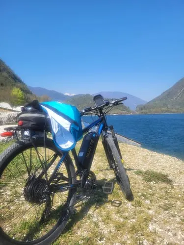DUOTTS C29 E-Bike Controller 48V