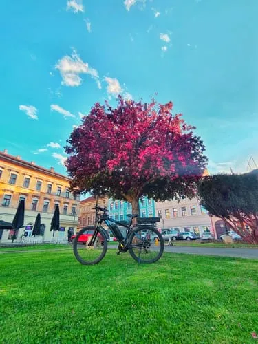 DUOTTS C29-K E-Bike 28 Zoll EU-Version Cityrad