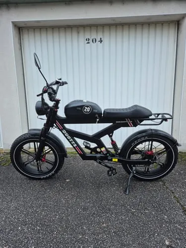 DUOTTS F20 E-Bike 20 Zoll Fatbike 250W