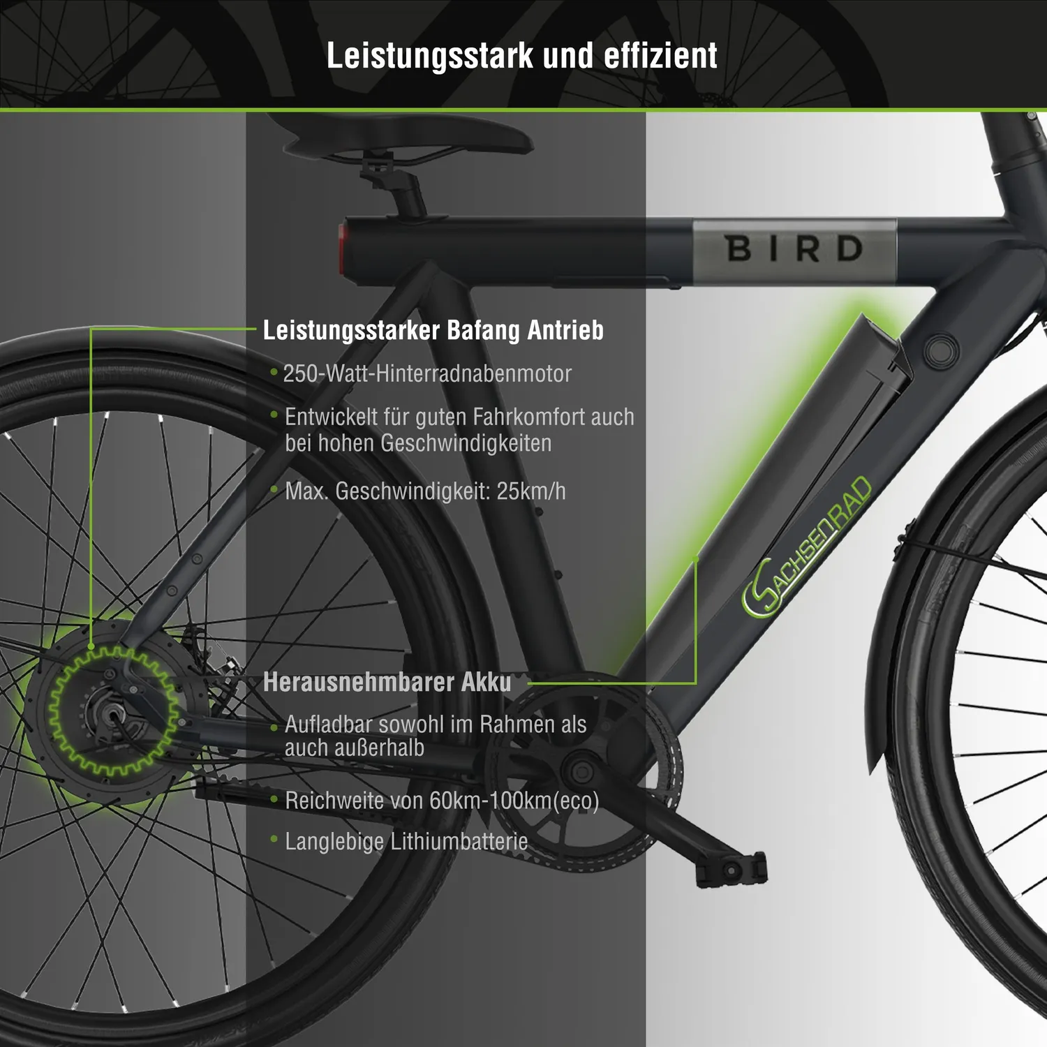 SachsenRad xBird C6R Connect E-Bike schwarz Riemenantrieb