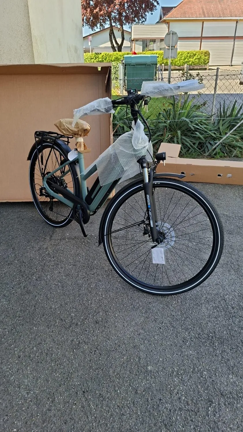 Fischer Viator 2.1 Active E-Bike 50 cm 459 Wh 50 Nm