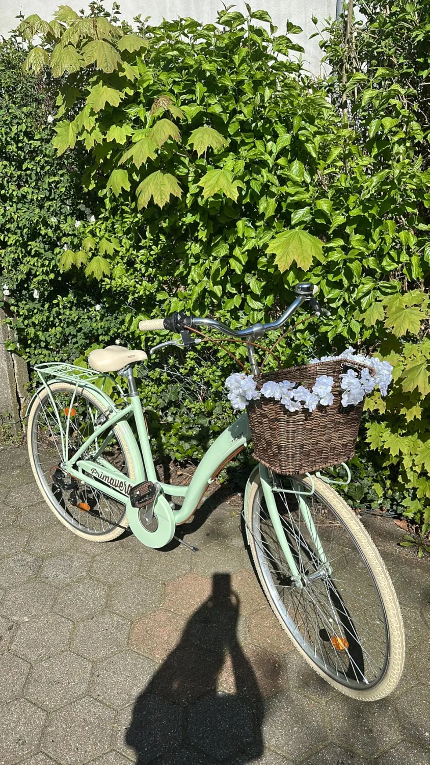 FISCHER Lenkerkorb Retro Polyrattan 5 kg geflochten