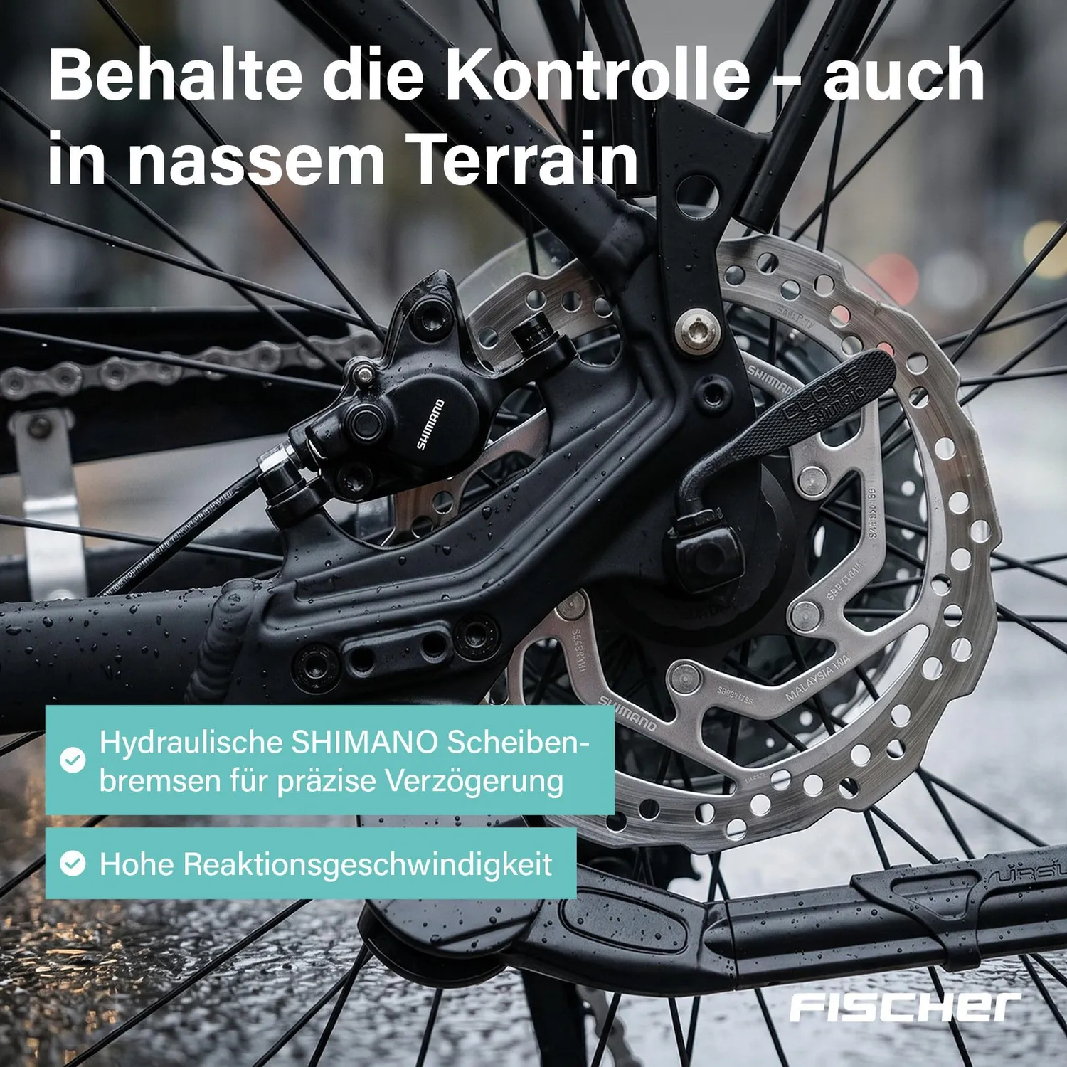 Fischer Viator 4.2i Trekking E-Bike 45 cm 80 Nm