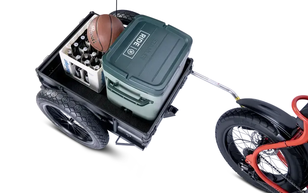 Ruff Cycles Biggie Premium Fahrradanhänger 20x4.0