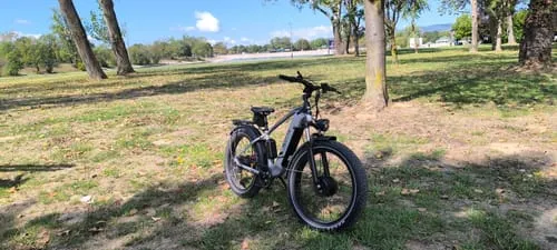 DUOTTS F26 E-Bike 750W Doppelmotor Schwarz-Rot