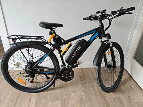 DUOTTS C29 Pro E-Bike 750W 29 Zoll Single-Akku
