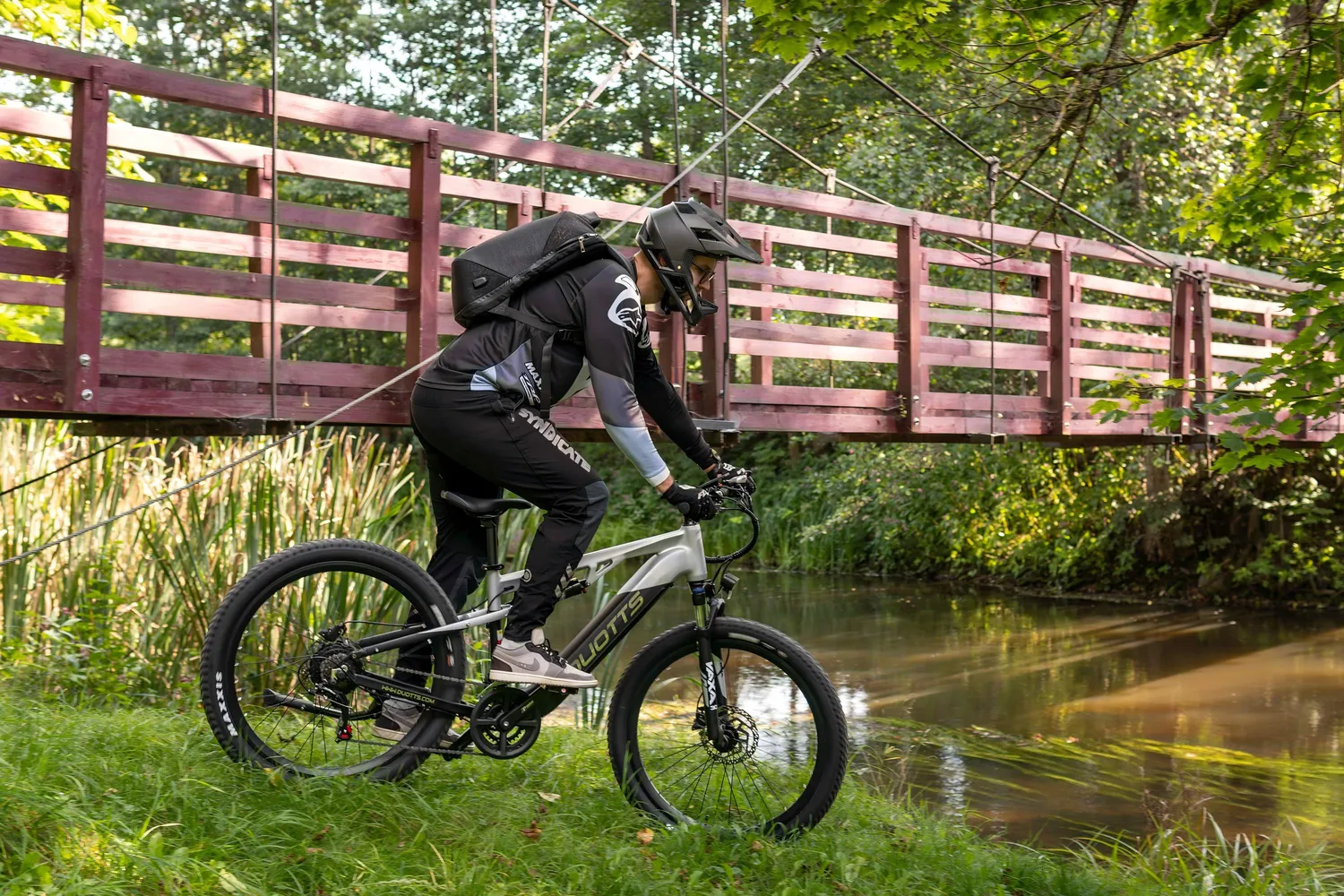 DUOTTS E29 E-Bike EU-Version Schwarz-Rot 250W