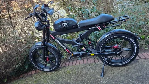 DUOTTS F20 E-Bike 20 Zoll Fatbike 250W