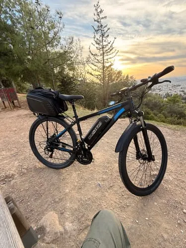 DUOTTS C29 Pro E-Bike 750W 29 Zoll Single-Akku
