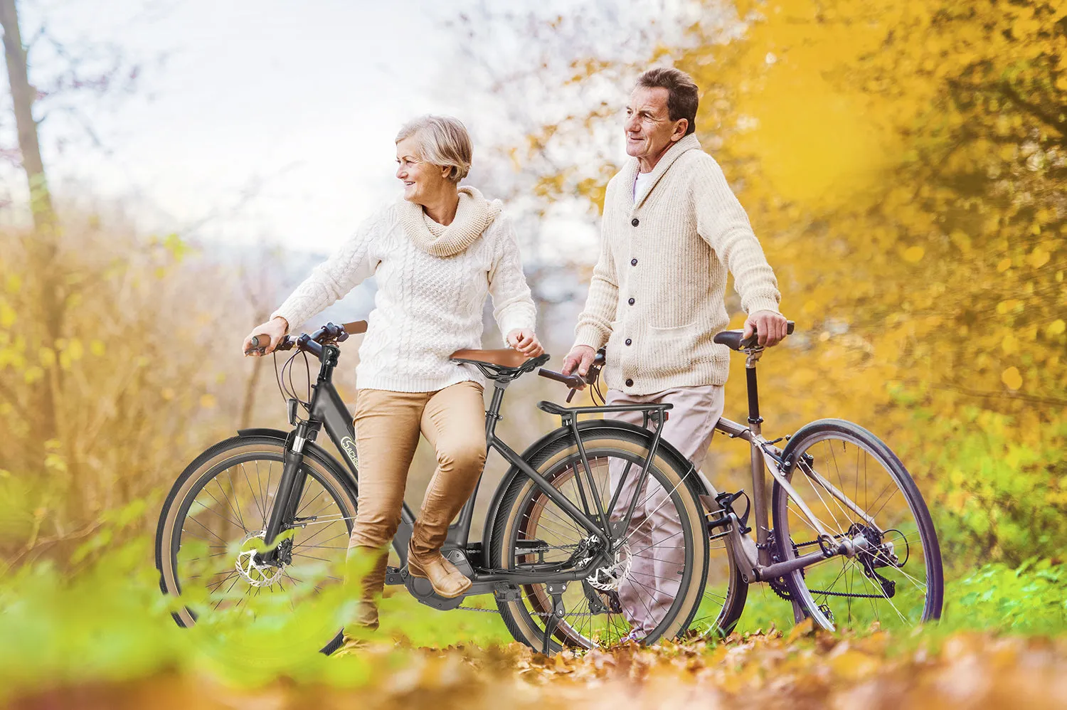 SachsenRad C5 Centro II E-SUV CityBike B-Ware Diebstahlsicherung