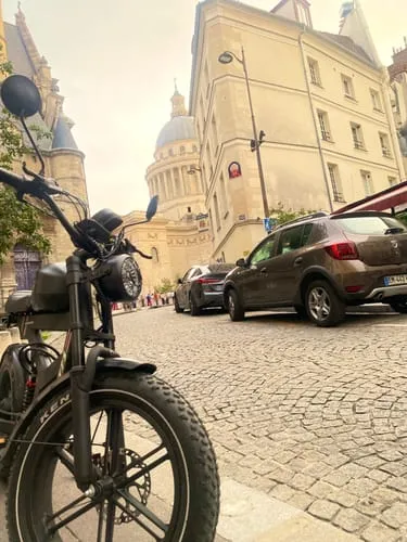 DUOTTS F20 E-Bike 20 Zoll Fatbike 250W
