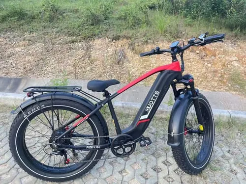 DUOTTS F26Lite E-Bike 26 Zoll Silber-Weiß