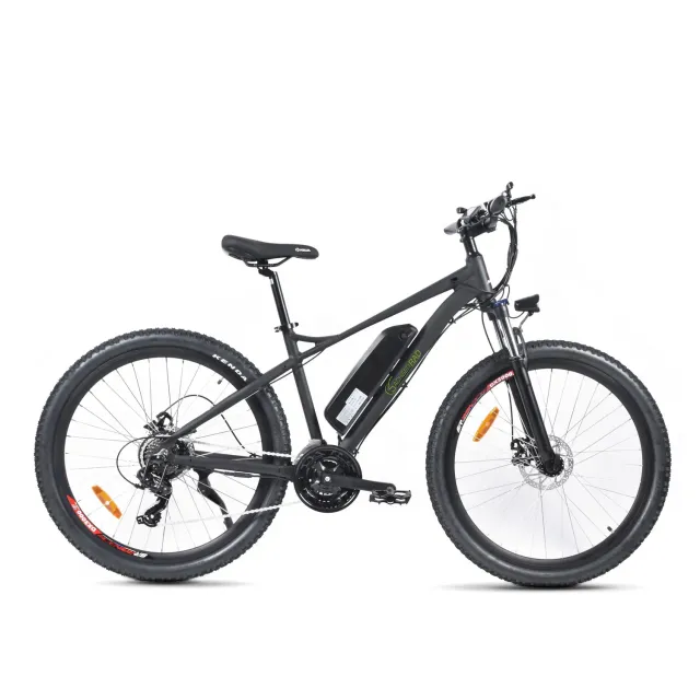 SachsenRad R10 Allroad E-Bike schwarz 21-Gang 80 km Reichweite