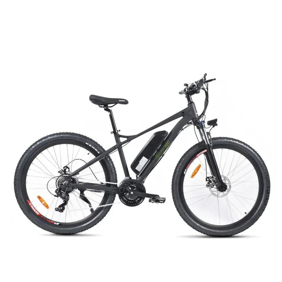 SachsenRad R10 Allroad E-Bike schwarz 21-Gang 80 km Reichweite