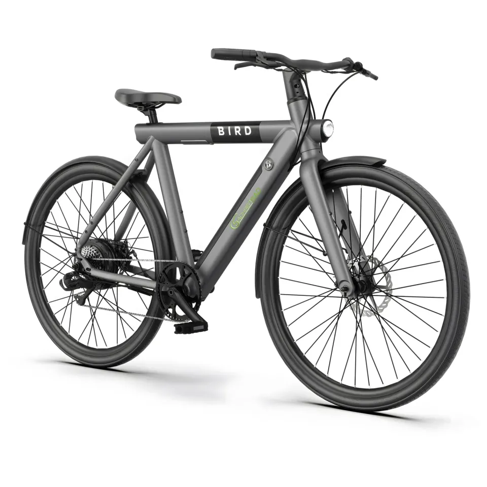 SachsenRad xBird Urban C6M Connect E-Bike 28 Zoll schwarz